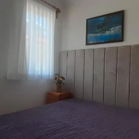 Mert Muğla